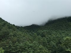 -苍山感通索道