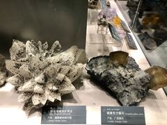 -中国地质博物馆