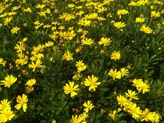 -苏州河梦清园环保主题公园