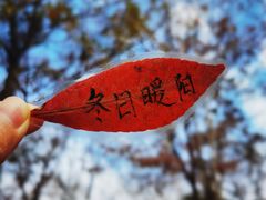 -院士公园
