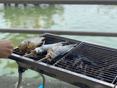 -上海美帆帆船露营基地
