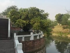 -八大山人梅湖景区