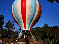 -铁山坪森林公园