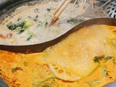 -生活如沸·顺德水牛奶火锅(大学路店)