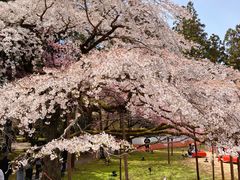 -醍醐寺