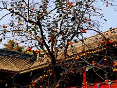 -北京石刻艺术博物馆(五塔寺)
