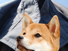 -栖露营camping·天幕烧烤·团建拓展·采摘营地