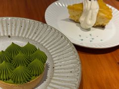 -猫里有甜