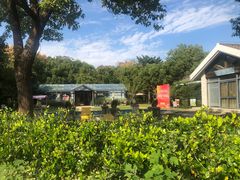 -上海海湾国家森林公园