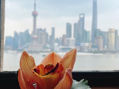 -上海和平饭店华懋阁 Cathay Room