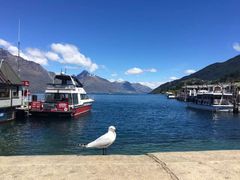 -Fergburger(皇后镇店)