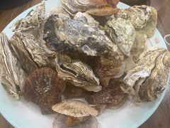-老家黄墩小错鸡·活海鲜