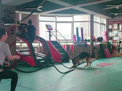 -KingBull私教健身&格斗订制(龙井商业中心店)