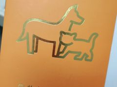 -关爱宠物医院·猫科中心·消化科(滨湖万达分院)