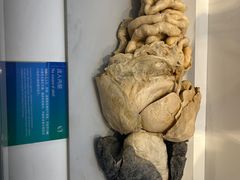 -生命奥秘博物馆