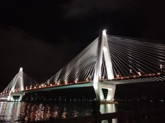 -万绿园