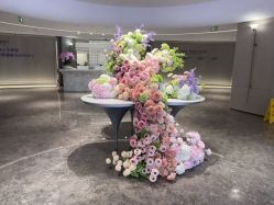 点击看大图 -广州美莱医疗美容医院