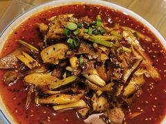 -青城甲(青城山店)