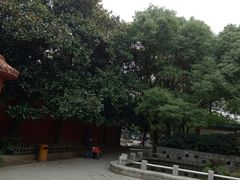 -洪都公园