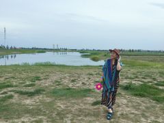 -敕勒川草原