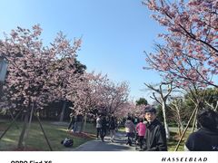 -自然谷恐龙园
