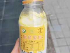 德禄酸奶-德禄酸奶(莫家街店)
