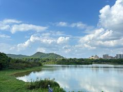 -风云岭森林公园