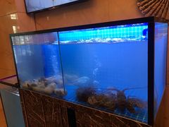 水产区-酌宴府The China Club·广州万富希尔顿酒店(云城东路店)