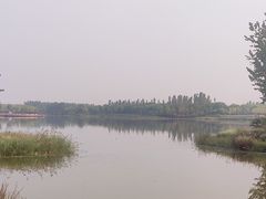 -东郊湿地公园