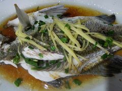 清蒸白花鱼-源海渔村·现捞海鲜(大角湾店)