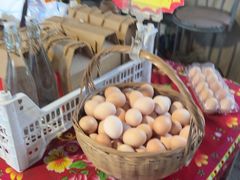 -马陆小张葡萄园农家乐