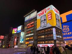 门面-道顿堀水上观光船(太左衛門橋船着場)