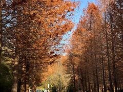 -南京市无想山景区