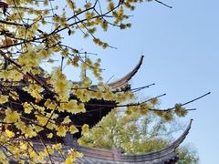 -钱王祠