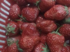 -旺中旺生活超市(居住主题店)