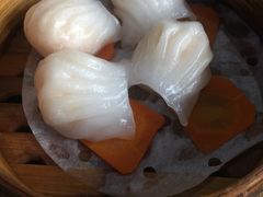 虾饺皇-港味仙(龙盛国际商业广场店)