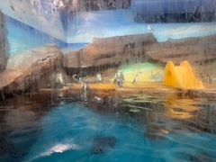 -海合安武汉极地海洋公园