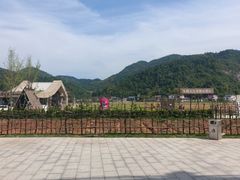 -长沙黑麋峰国家森林公园