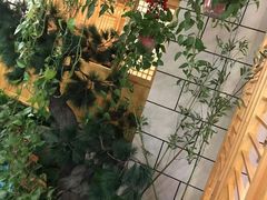 -九田家黑牛烤肉料理·自助(洪洞县城市花园店)