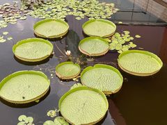 -南通洲际绿博园