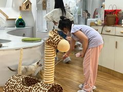 -COLOR PETS 撸猫馆·购猫·猫咖(长风大悦城店)