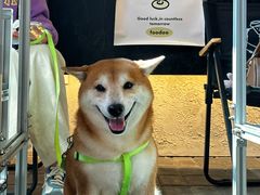 -foodoo芙多松饼店