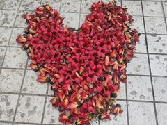 -顺德职业技术大学