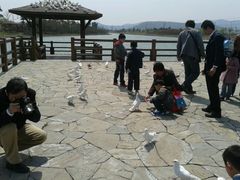-苏州太湖国家湿地公园