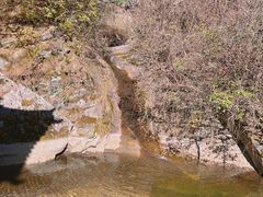 -王顺山国家森林公园