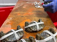 -阳澄湖大闸蟹·琼灵阁牌品牌连锁(吴中总店)