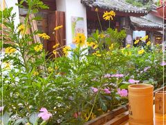 -民食香·腊排骨野生菌美食(木府店)