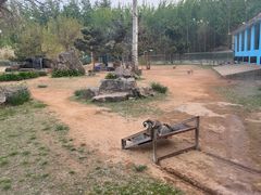 -秦皇岛野生动物园