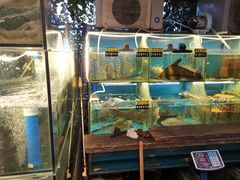 水产区-老宋家鱼馆(北滨路店)