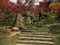 -广州市帽峰山景区
